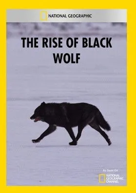 Póster de la película The Rise of Black Wolf