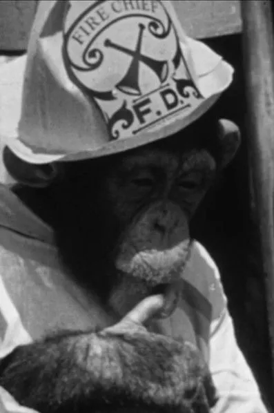 Tom Shirley interpreta a Narrator en The Rookie Fireman