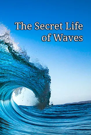 Póster de The Secret Life of Waves