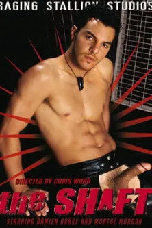 Póster de The Shaft