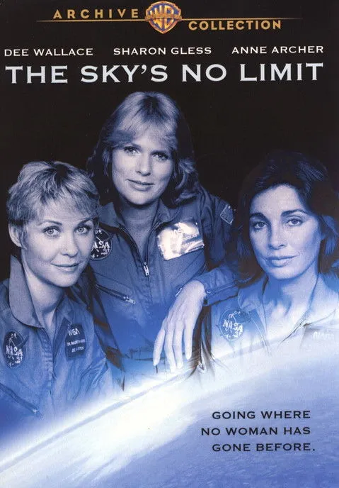 Póster de la película The Sky's No Limit