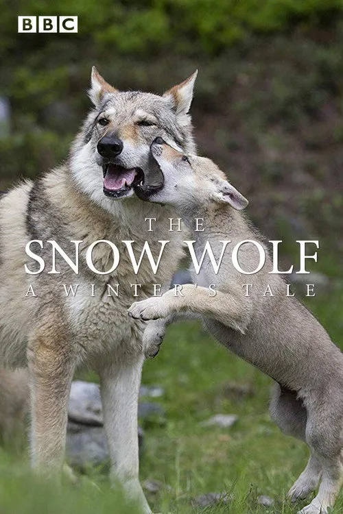 Emilia Fox interpreta a Narrator en The Snow Wolf: A Winter's Tale