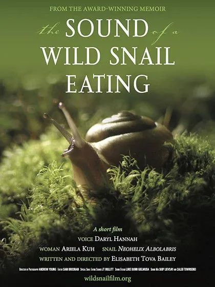 Portada de The Sound of a Wild Snail Eating