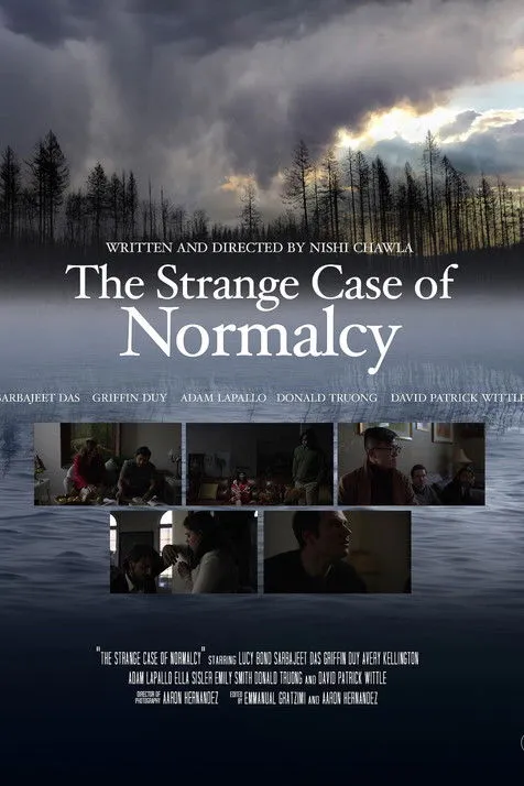 Póster de The Strange Case for Normalcy