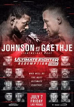 Póster de The Ultimate Fighter 25 Finale