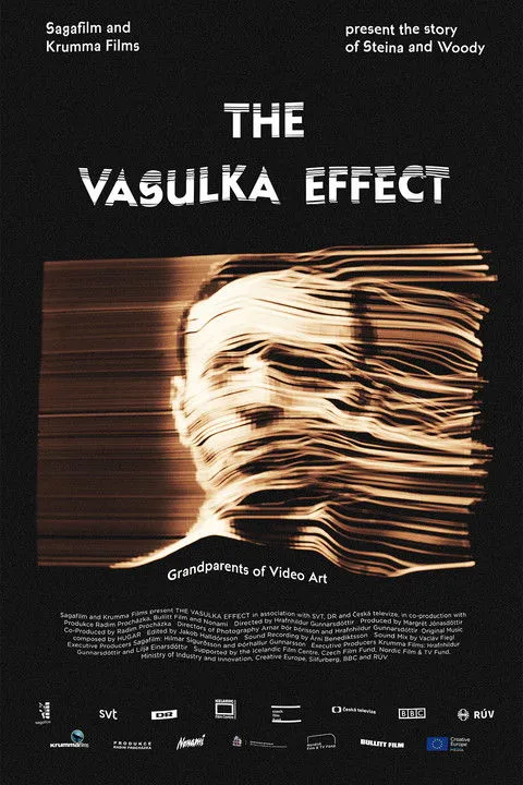 Póster de The Vasulka Effect