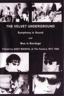 Christian Aaron Boulogne interpreta a en The Velvet Underground and Nico: A Symphony of Sound