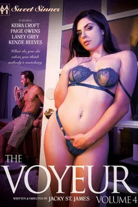 Póster de The Voyeur 4