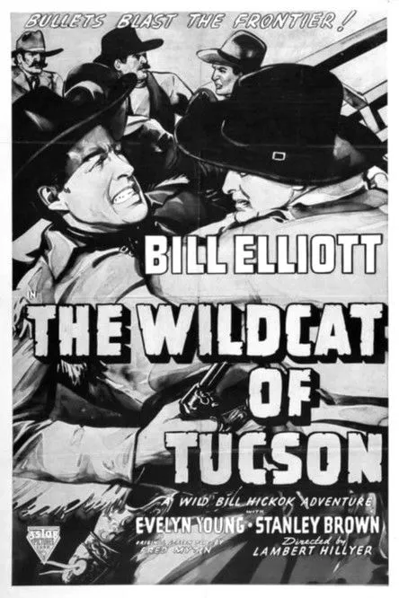 Póster de la película The Wildcat of Tucson