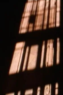 Diana Pavlovská interpreta a en the willing voyeur...