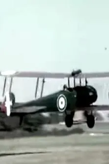 Póster de la película The Wind in the Wires