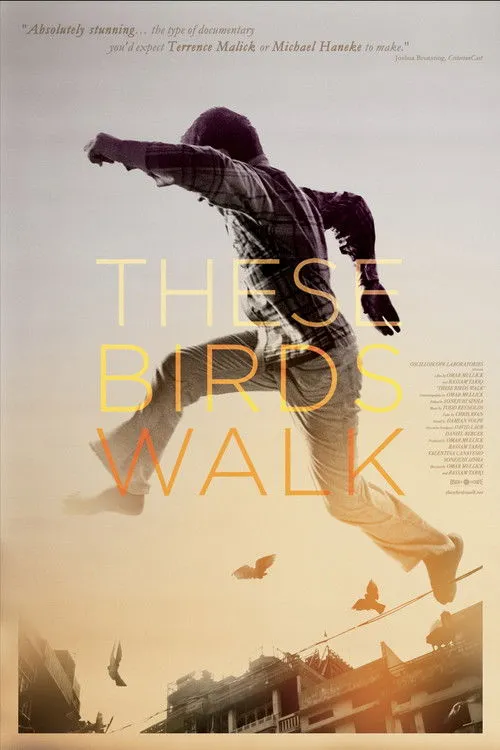 Ajab Gul interpreta a  en These Birds Walk