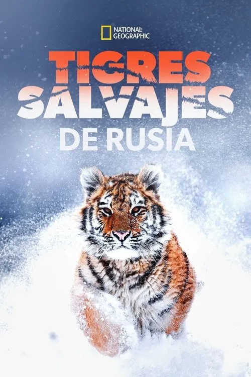 Portada de Tigres salvajes de Rusia