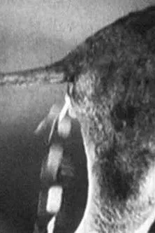 Carl Geppert interpreta a Der Lange en Tischlein deck dich, Eselein streck dich, Knüppel aus dem Sack