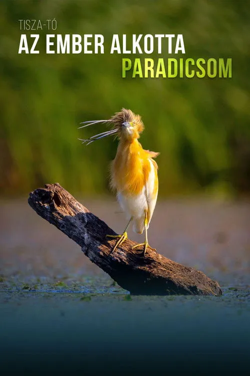 Dimitry Ljasuk interpreta a Presenter en Tisza-tó - Az ember alkotta paradicsom