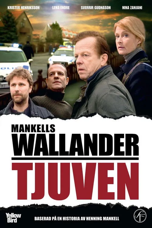 Póster de Tjuven