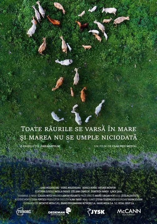 Ilinca Sava interpreta a Self en Toate râurile se varsă în mare și marea nu se umple niciodată