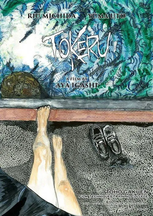 Póster de la película Tokeru