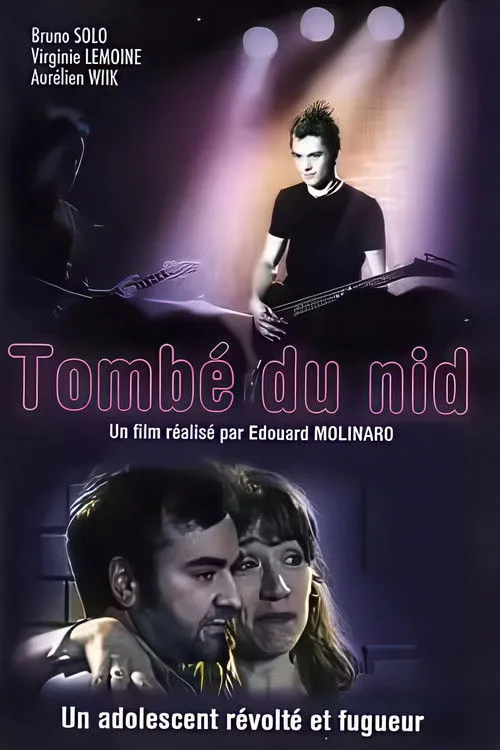 Póster de Tombé du nid