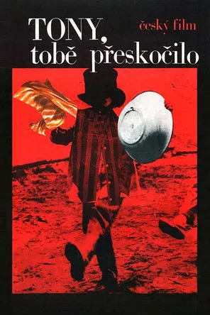 Adam Matejka interpreta a  en Tony, te has vuelto loco?