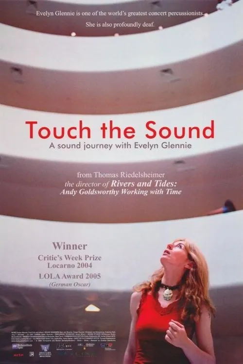 Póster de Touch the Sound