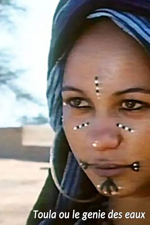 Póster de la película Toula ou Le génie des eaux
