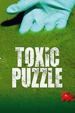 Póster de Toxic Puzzle