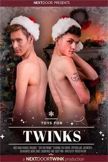 Póster de la película Toys For Twinks