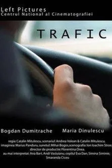 Simina Siminie interpreta a The babysitter en Trafic