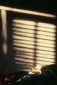 Póster de la película Tranches