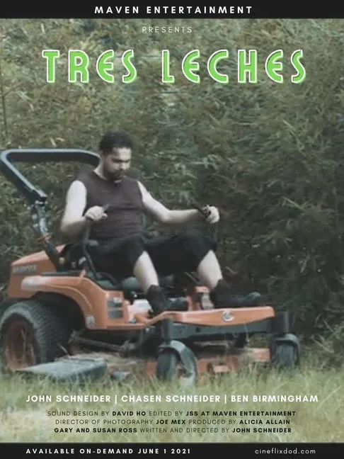 Póster de Tres Leches