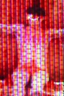 Hermann Nitsch interpreta a Self - Archival Footage en Trieste