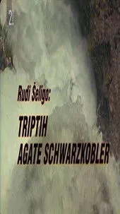 Póster de Triptih Agate Schwarzkobler
