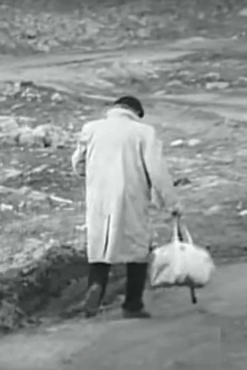 Póster de ცარიელი სივრცე