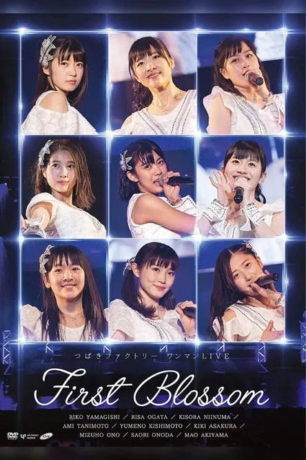 ???? interpreta a  en Tsubaki Factory One-Man LIVE ~First Blossom~