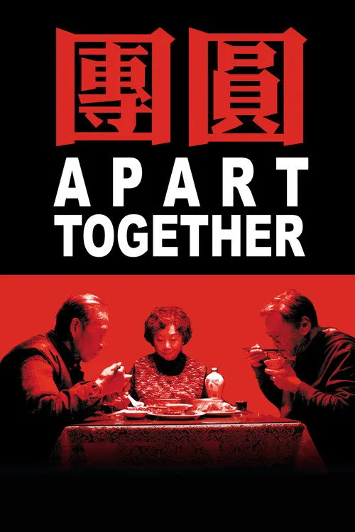 Póster de Reunión o Reencuentro, ya que Tuan Yuan se traduce como reunión en español