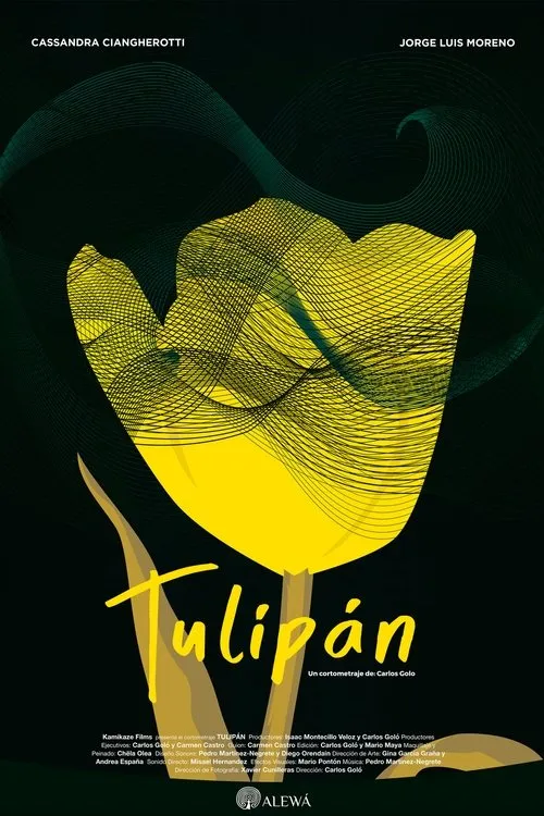 Póster de la película Tulipán