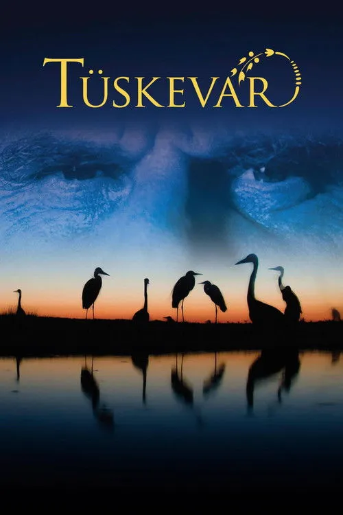 Póster de Tüskevár