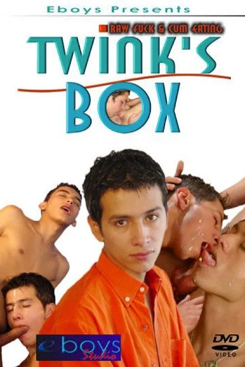 Póster de Twink's Box