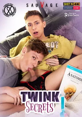 Póster de Twink Secrets