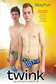 Póster de Twink Temptations 4