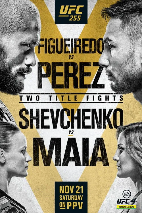 Póster de UFC 255: Figueiredo vs. Perez