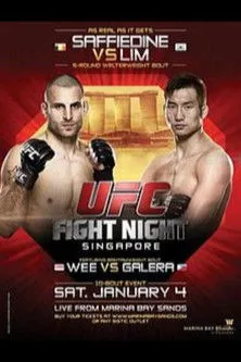 Póster de UFC Fight Night 34: Saffiedine vs. Lim