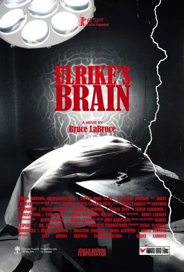 Susanne Sachße interpreta a Doctor Julia Feifer en Ulrike's Brain