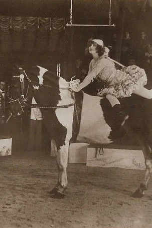 Fern Andra interpreta a en Um Krone und Peitsche