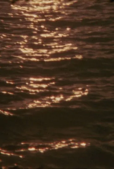 Alberto Uro interpreta a en Umbra Viventis Lucis