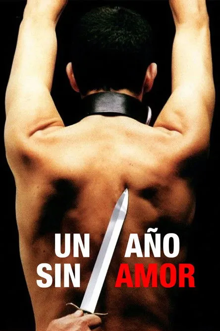 Póster de Un año sin amor