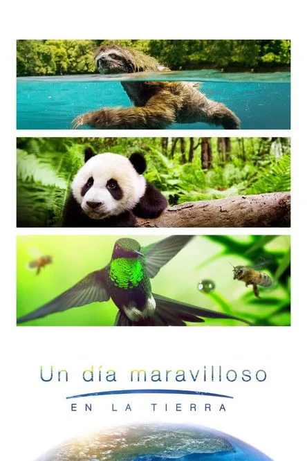 Portada de Un día maravilloso en la Tierra