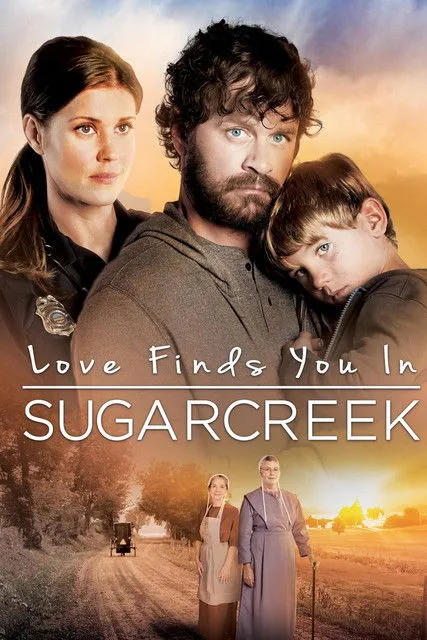 Póster de Un extraño en Sugarcreek