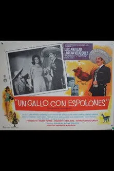 Póster de la película Un gallo con espolones (Operación ñongos)